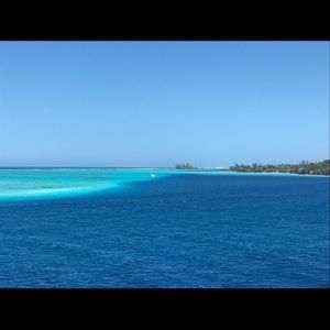 Meet your Posher, Linus